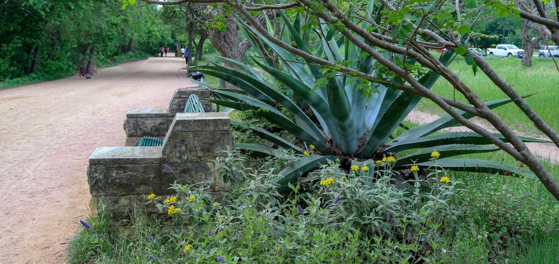 Texas law mows over parkland rules Urbanize Austin